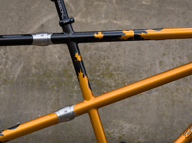 tandemdetail.jpg (87157 bytes)